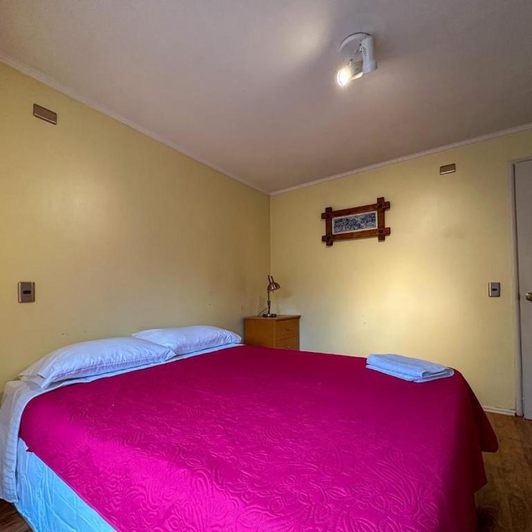 Casa dos habitaciones en Valdivia - Apartamento de 2 dormitorios - 13