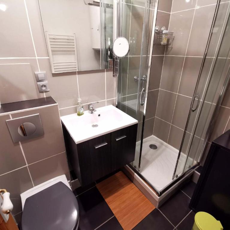 Appartement 2 pièces, proche pistes, idéal famille - Appartement 1 Chambre - 12