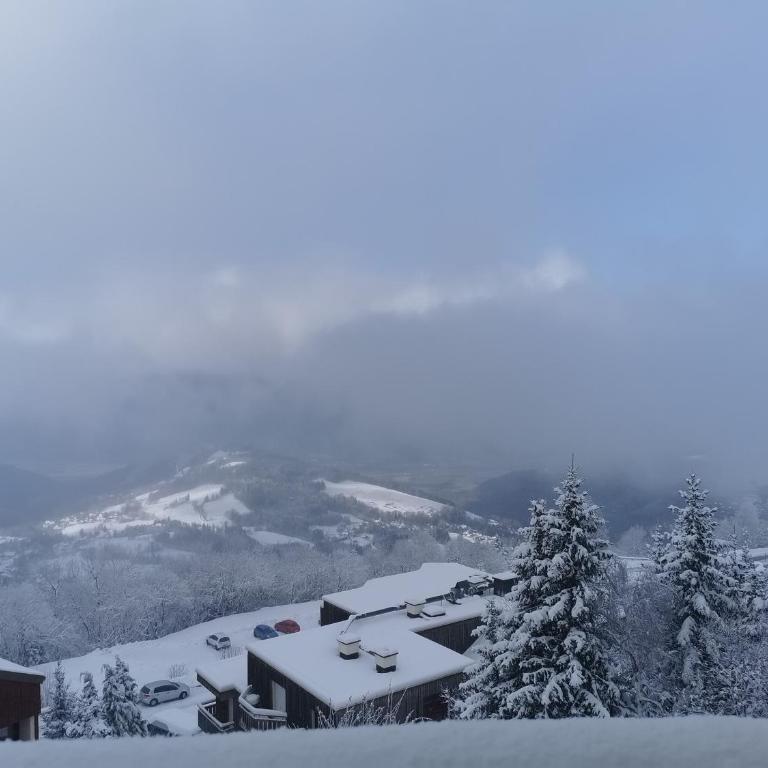 Studio cosy 3e étage, vue vallée, skis aux pieds - Studio - 11
