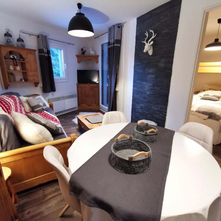 Charmant 2 pièces aux pieds des pistes, Les 7 Laux - Appartement 1 Chambre - 14
