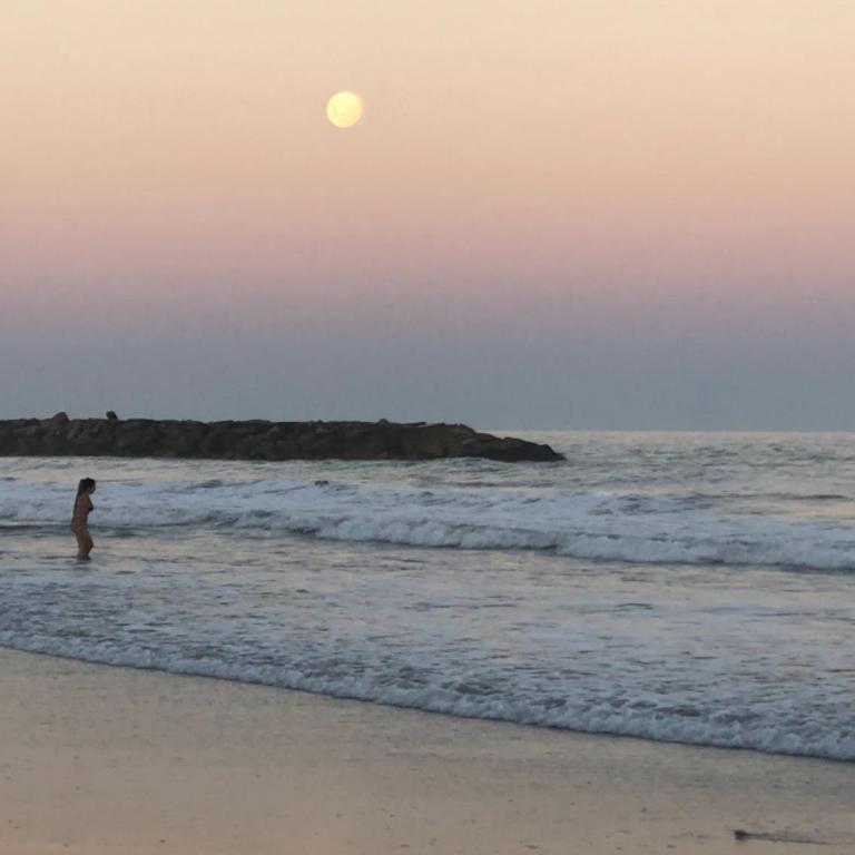 Frente a la Playa con parrilla - Apartamento de 2 dormitorios - 17