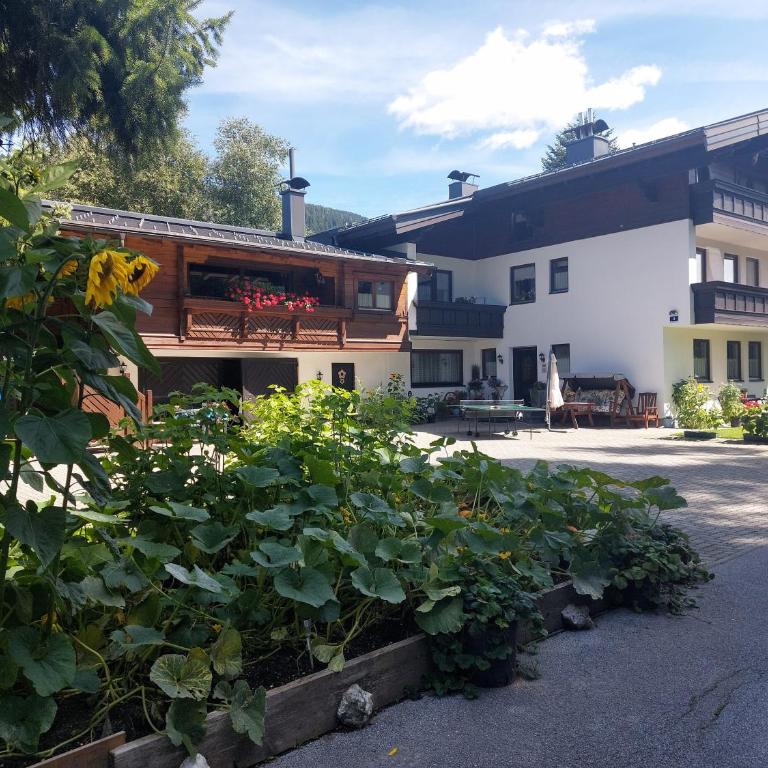 Appartement Hödlmoser - Apartment mit 1 Schlafzimmer und Balkon - 1