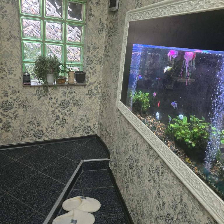 KONAK kod ODISEJE - Premier Apartman sa 1 Spavaćom Sobom - 42