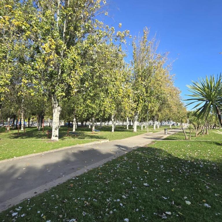 Ático con Piscina privada y Solarium en la Ràpita - Apartamento de 2 dormitorios - 28