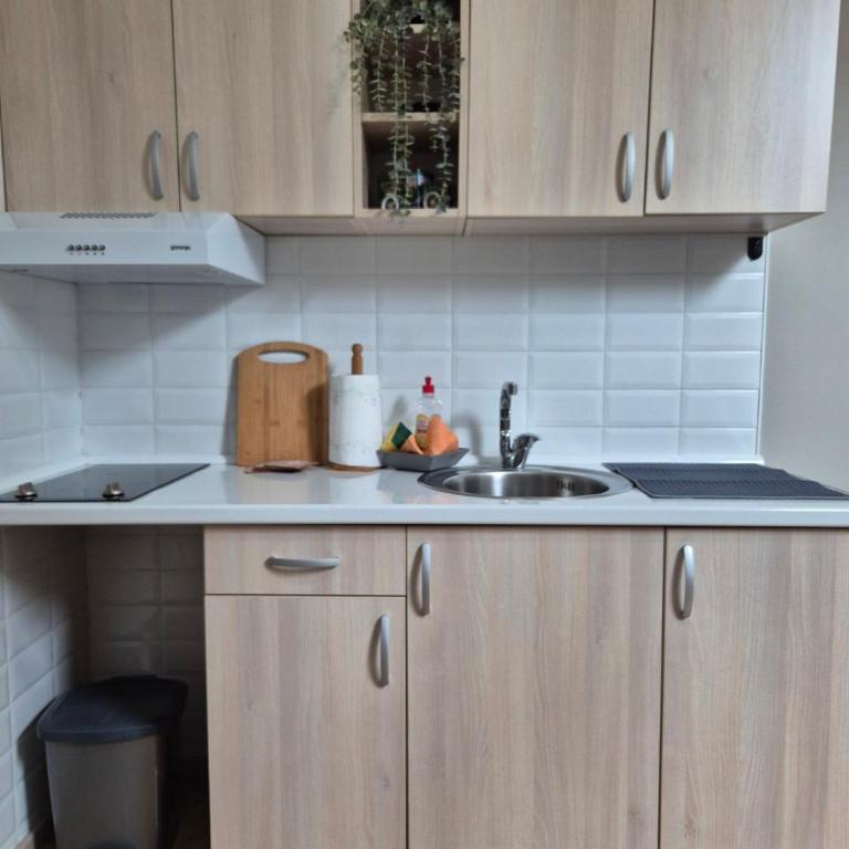 City Nest Apartments NS - Standardni Apartman - 5