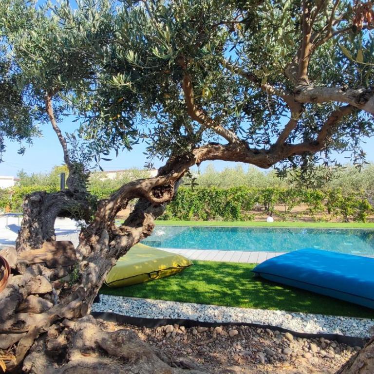 Villa du Cori piscina e relax - Ferienhaus - 30
