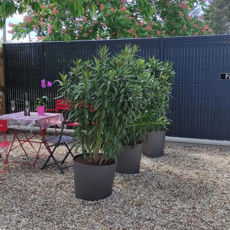 Studio à Amboise - Appartement 1 Chambre - 2