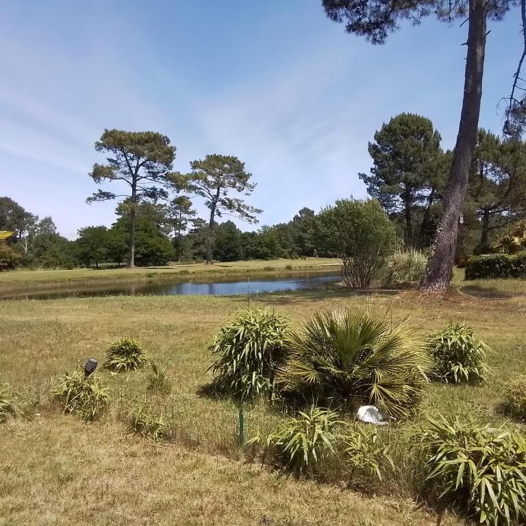 Villa Saint Barth - Chambre Double - Vue sur Jardin - 15