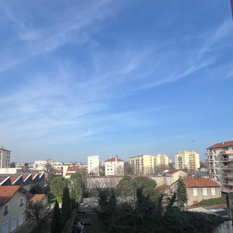 Appartement de charme - Parking privé gratuit - Métro proche - Cours Emile Zola - Appartement 1 Chambre - 2