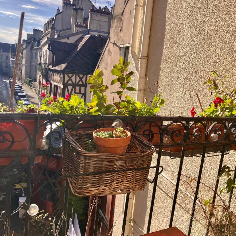 Appartement bucolique - Cœur historique Dijon - Appartamento con 1 Camera da Letto - 11