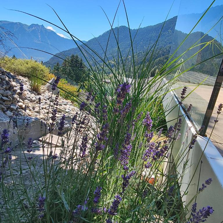 Chalet l'O - Charm and Modernity - Chalet - 41