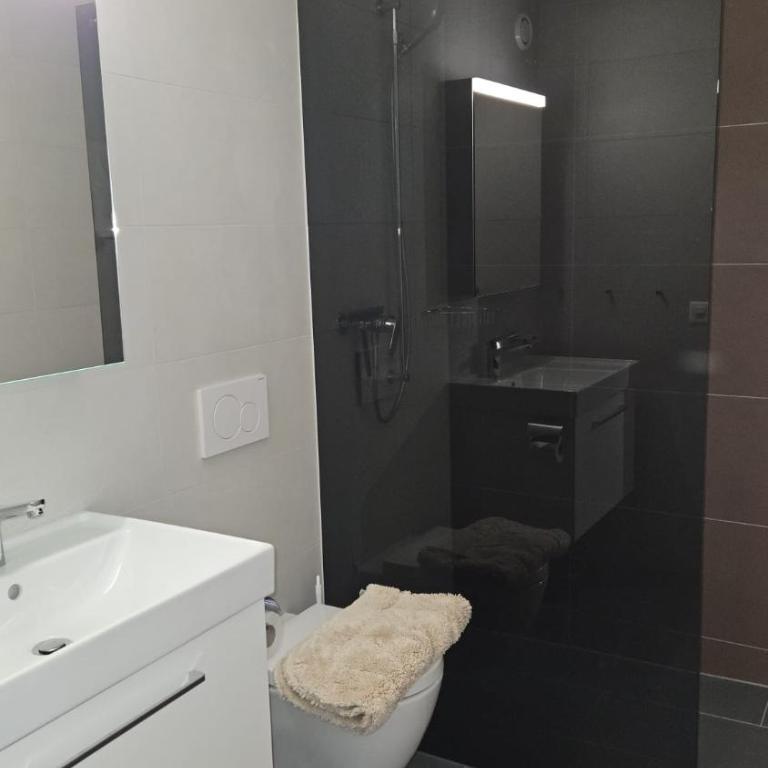 Ferienwohnung Nr.22,Haus Azurit - Appartamento con 1 Camera da Letto, Balcone e Vista Montagna - 2