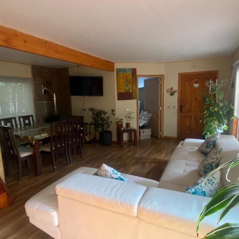 Casa en villarrica - Casa de 4 dormitorios - 16