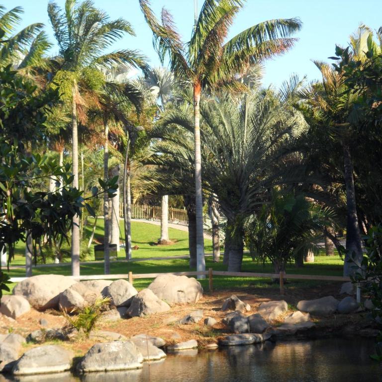 NG LA SALLE - Santa Cruz de Tenerife - Apartamento de 2 dormitorios - 16