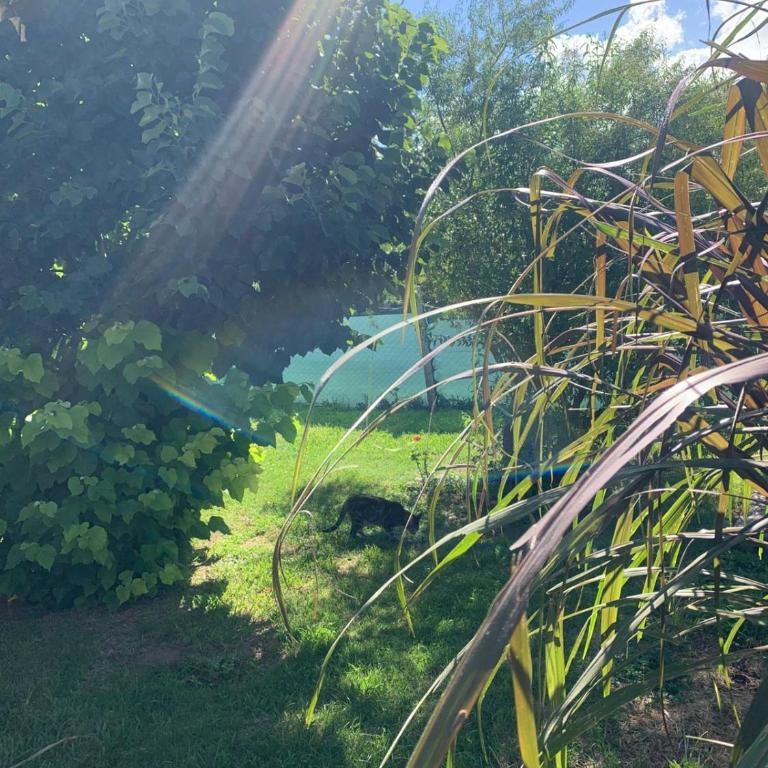 El despertar Hospedaje - Casa con 1 dormitorio - 13