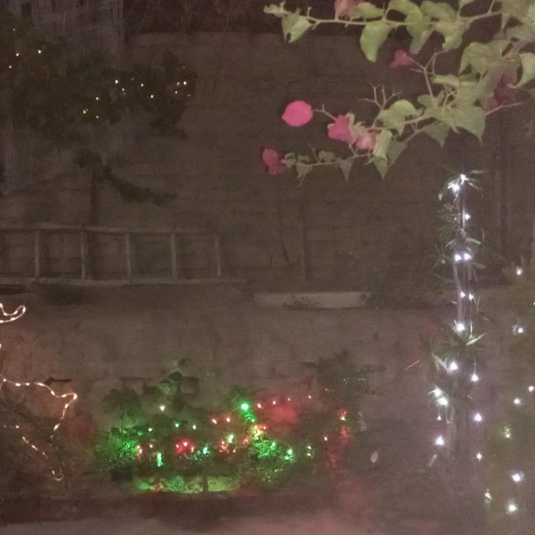 Departamento con Cochera gratuita dentro de Instalaciones 8p Tierra del Sol Eterno Ica centro - Apartamento de 3 dormitorios - 23