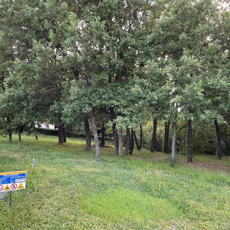 The Villa of the Bologna Hills - Villa con 3 Camere da Letto - 49