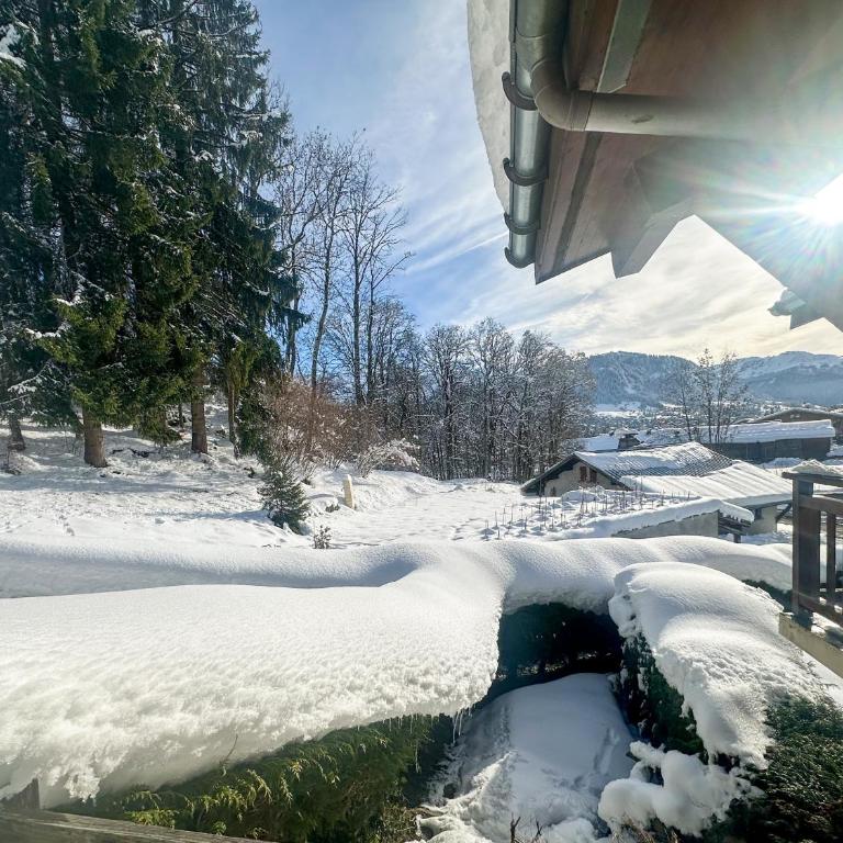 Sapins blancs Megeve - Apartment mit Terrasse - 1