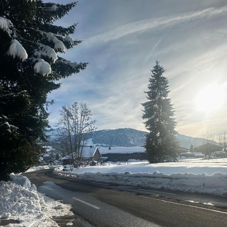 Sapins blancs Megeve - Apartment mit Terrasse - 9