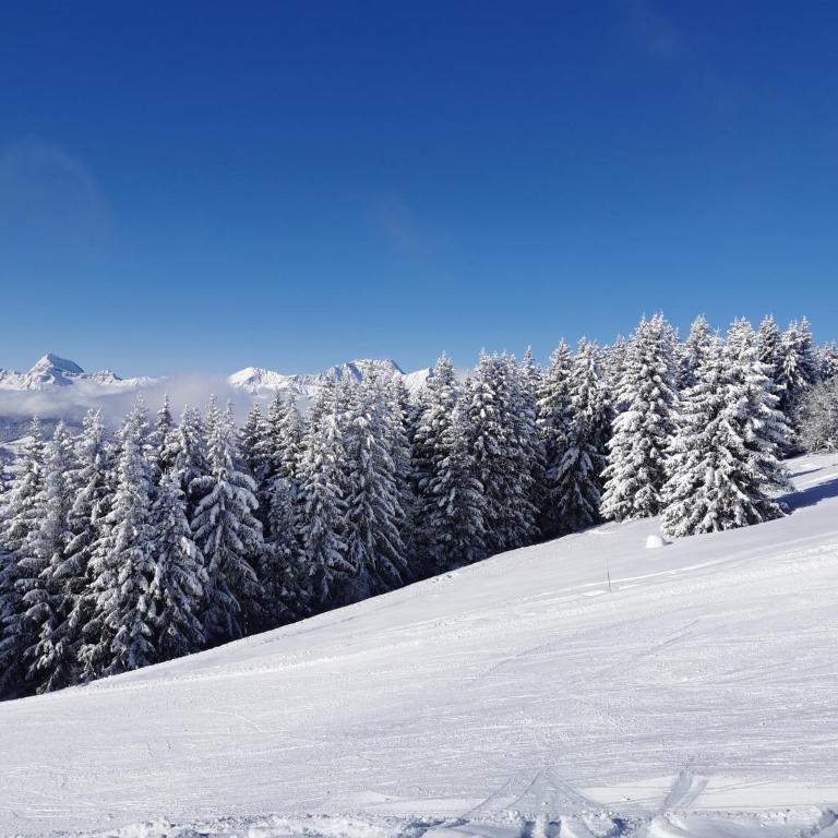 Melba Megeve emplacement de rêve dans le village au calme - Apartment mit Blick auf die Berge - 18