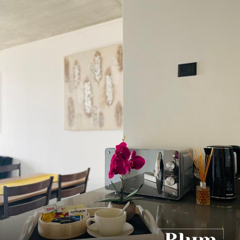 Blum Suites - One-Bedroom Apartment - 5
