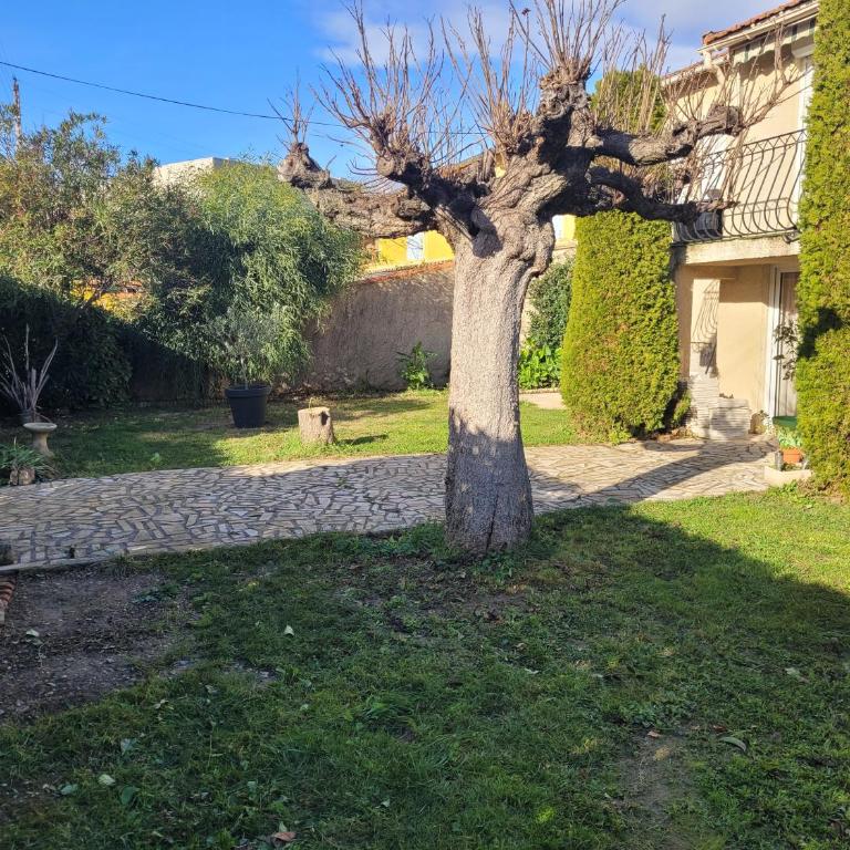 Maison 6 personnes avec jardin - Villa 2 Chambres - 1