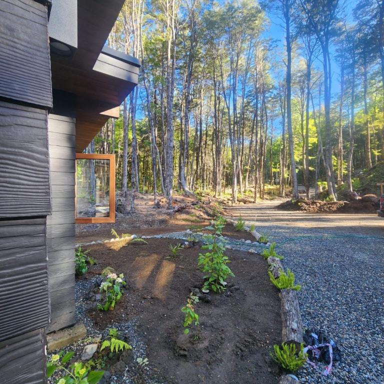 Casa en el Bosque, completa desconexión, Pucón - Three-Bedroom House - 17
