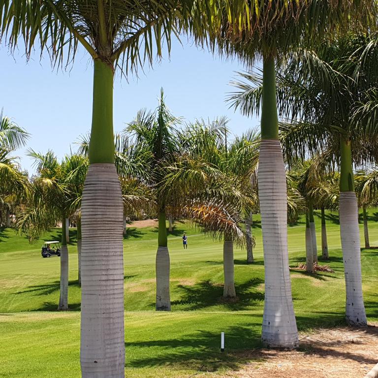Golf and Beach Retreat in Maspalomas - Two-Bedroom House - 19