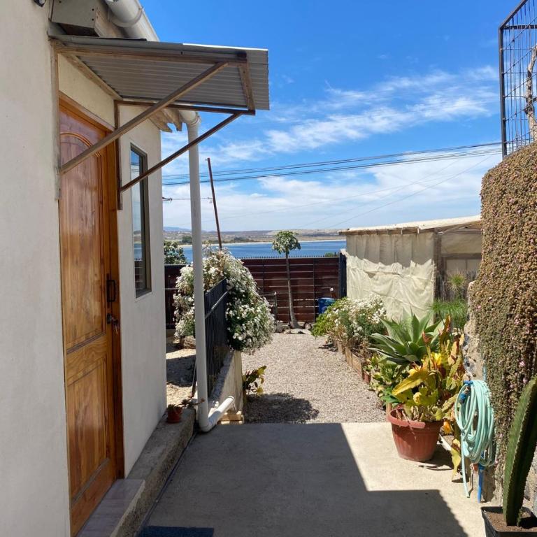 Loft Tongoy 3 Peninsula - Apartamento de 1 dormitorio - 1