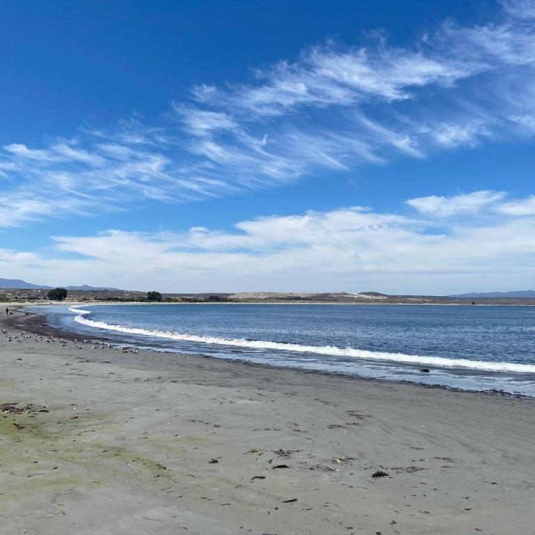 Loft Tongoy 3 Peninsula - Apartamento de 1 dormitorio - 21