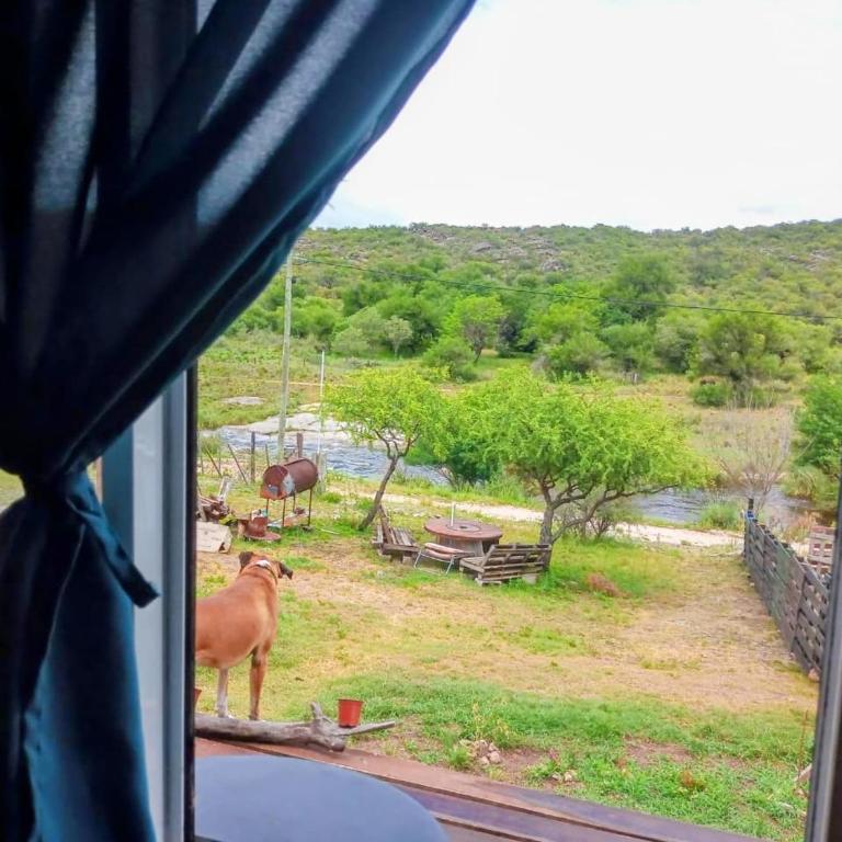 Costa Rio - Apartamento de 1 dormitorio - 4