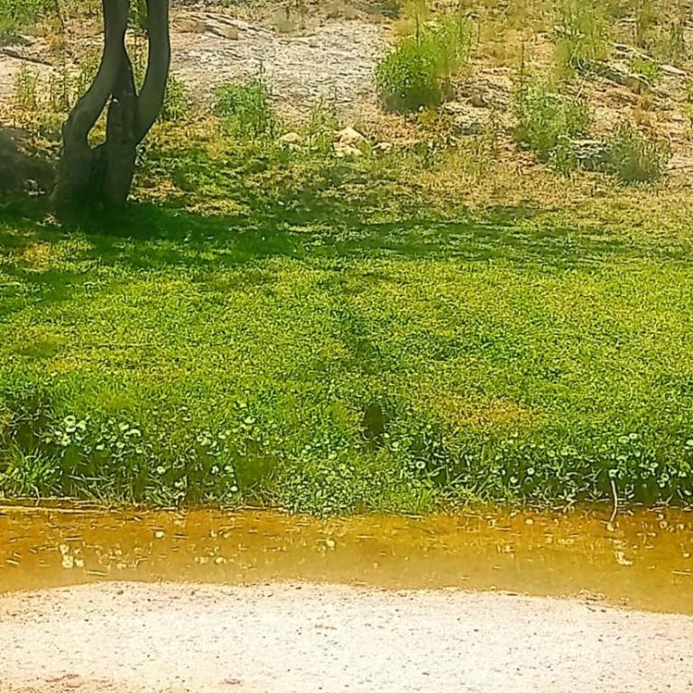 Costa Rio - Apartamento de 1 dormitorio - 7