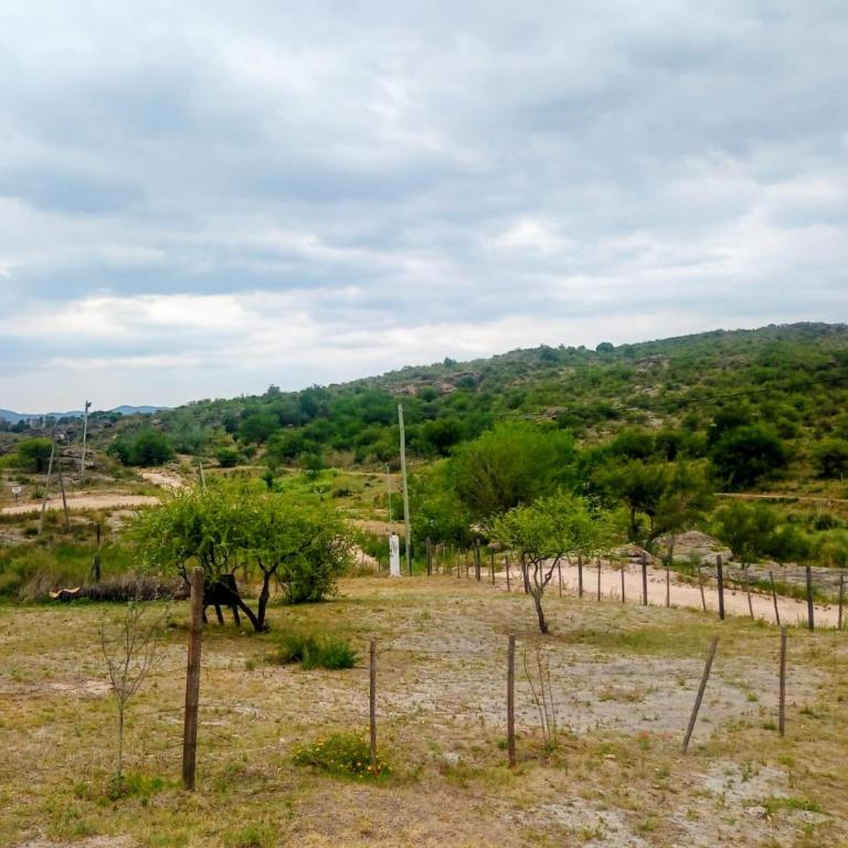 Costa Rio - Apartamento de 1 dormitorio - 12