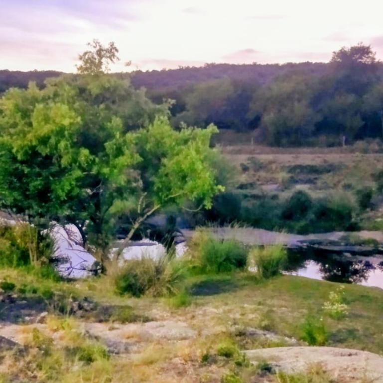 Costa Rio - Apartamento de 1 dormitorio - 13