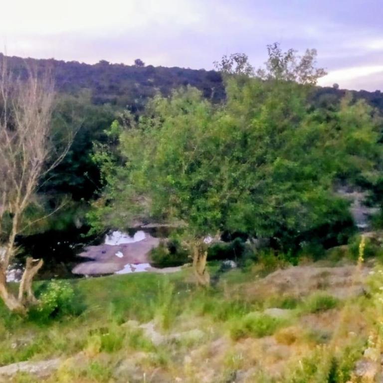 Costa Rio - Apartamento de 1 dormitorio - 15