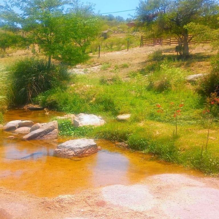 Costa Rio - Apartamento de 1 dormitorio - 22