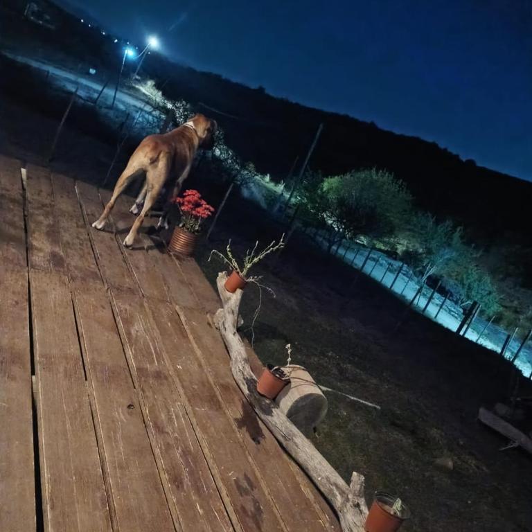 Costa Rio - Apartamento de 1 dormitorio - 28