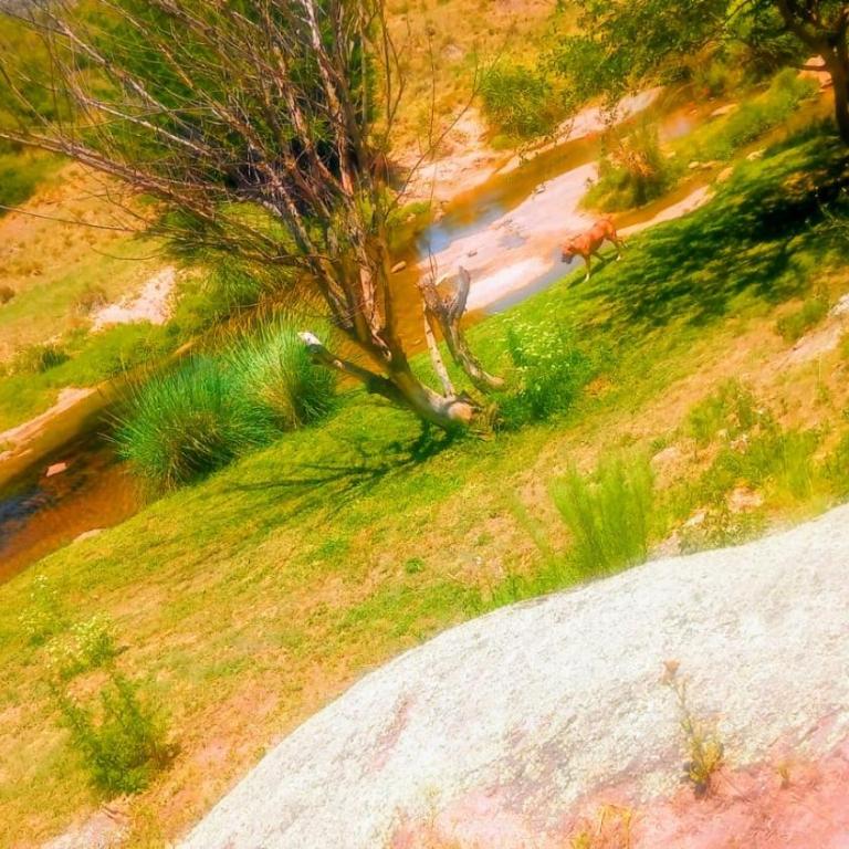 Costa Rio - Apartamento de 1 dormitorio - 29