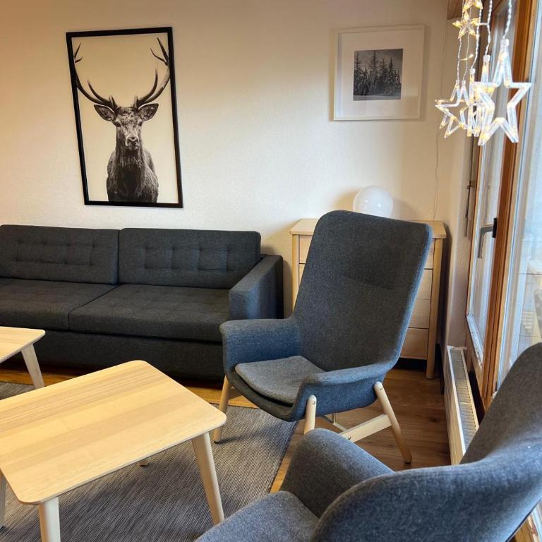Cosy studio for 5 near ski lift, HAMEAU D2 - Studio with Mountain View - 6