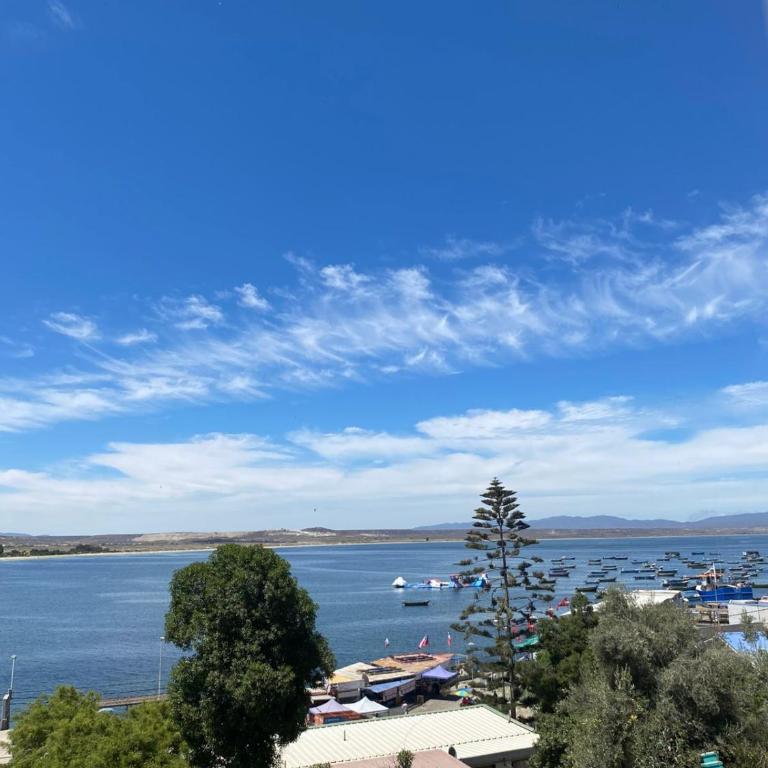 Loft Tongoy 4 Peninsula - Apartamento de 1 dormitorio - 49