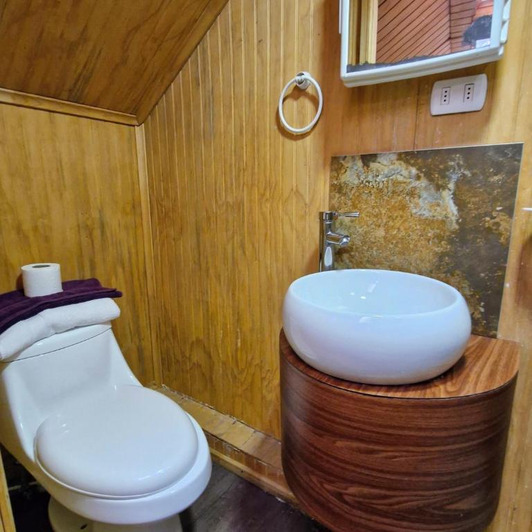 Wildepartamentos Valdivia ER - Apartamento - 3