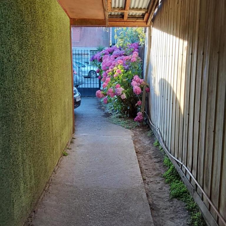 Amplia casa a 2 cuadras del centro de Temuco! estacionamiento - Two-Bedroom House - 15