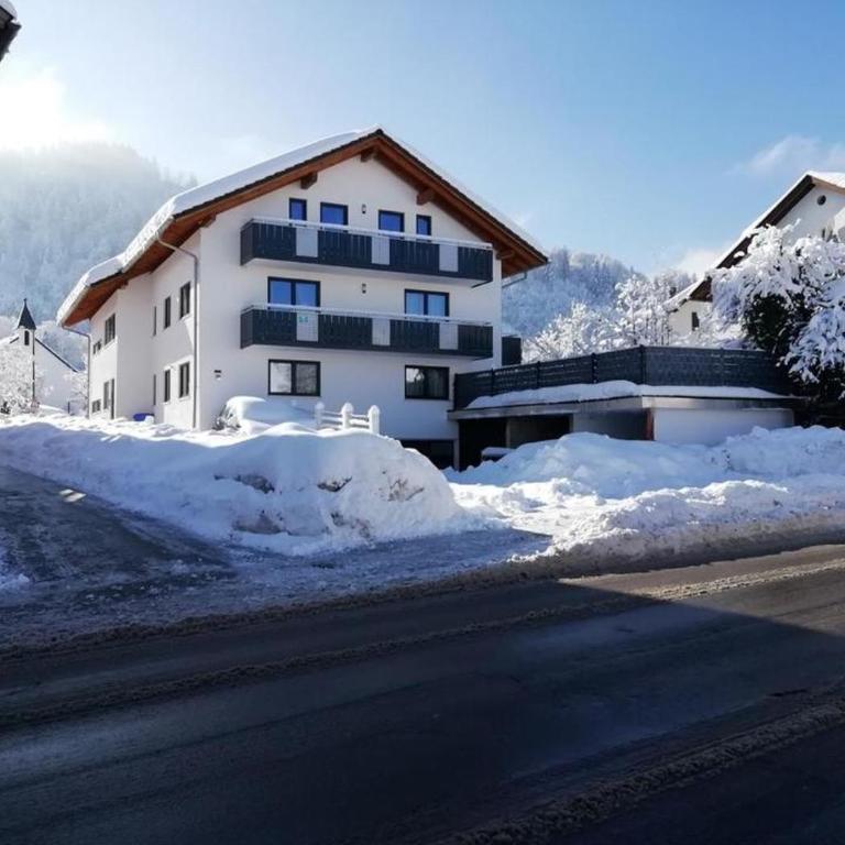 Alpine Lodge mit zwei Einheiten am Alpsee - Ski-Nähe & Bergblick - 2-Zimmer-Apartment - 1