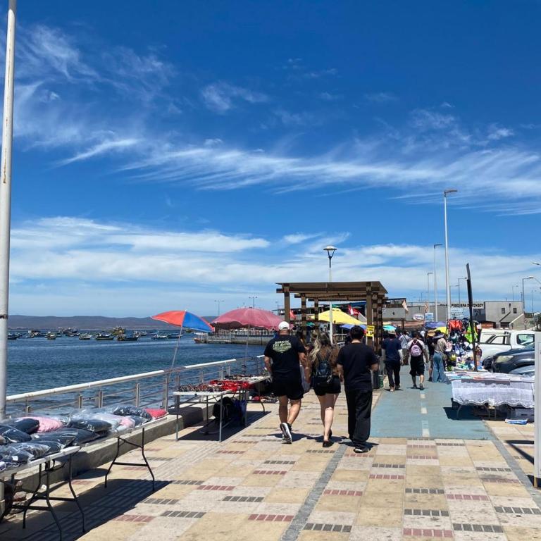 Loft Tongoy 2 Interior sin vista al mar - Apartamento de 1 dormitorio - 9