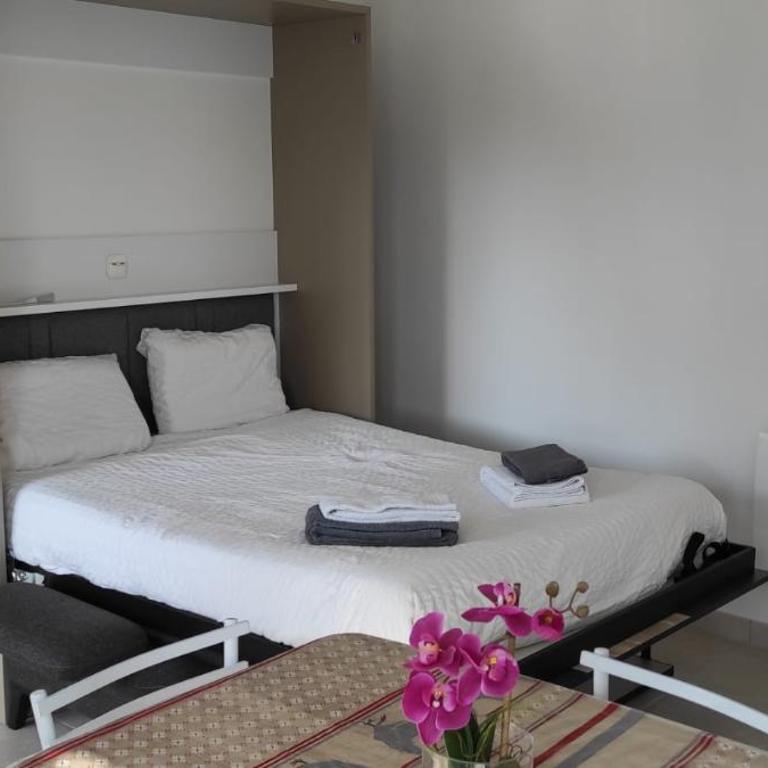 Studio à Amboise - Appartement 1 Chambre - 5