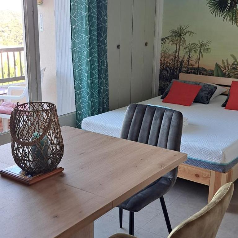 50m des cures accès direct par ascenseur joli studio Gaëlle grand balcon vue dégagée libre jusqu'au 19 octobre - Appartement 1 Chambre - 22
