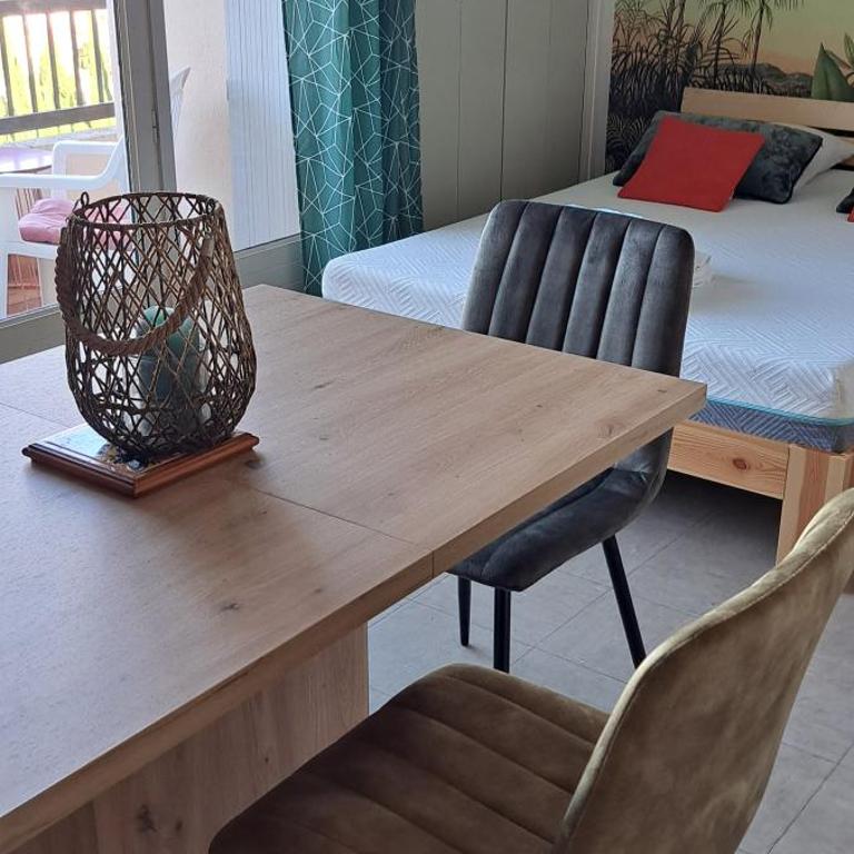 50m des cures accès direct par ascenseur joli studio Gaëlle grand balcon vue dégagée libre jusqu'au 19 octobre - Appartement 1 Chambre - 21
