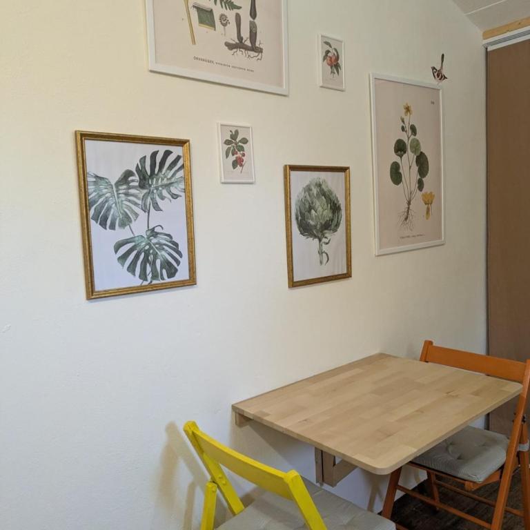 La Cigarra - Casa con 1 dormitorio - 16
