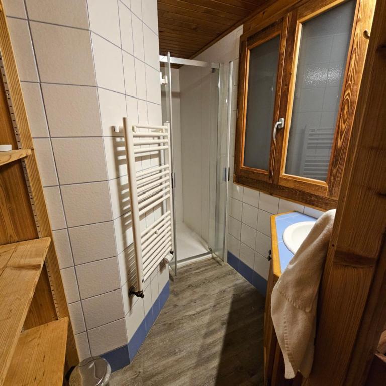 Chalet le Nid independant mountain chalet - Chalet - 72