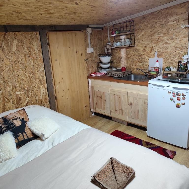 Bungalov Moracka Bistrica - Brvnara sa 1 Spavaćom Sobom - 9